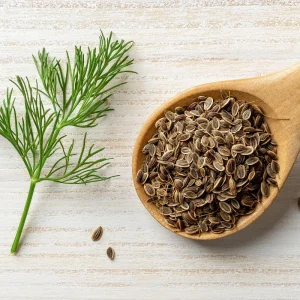 Dill Seeds