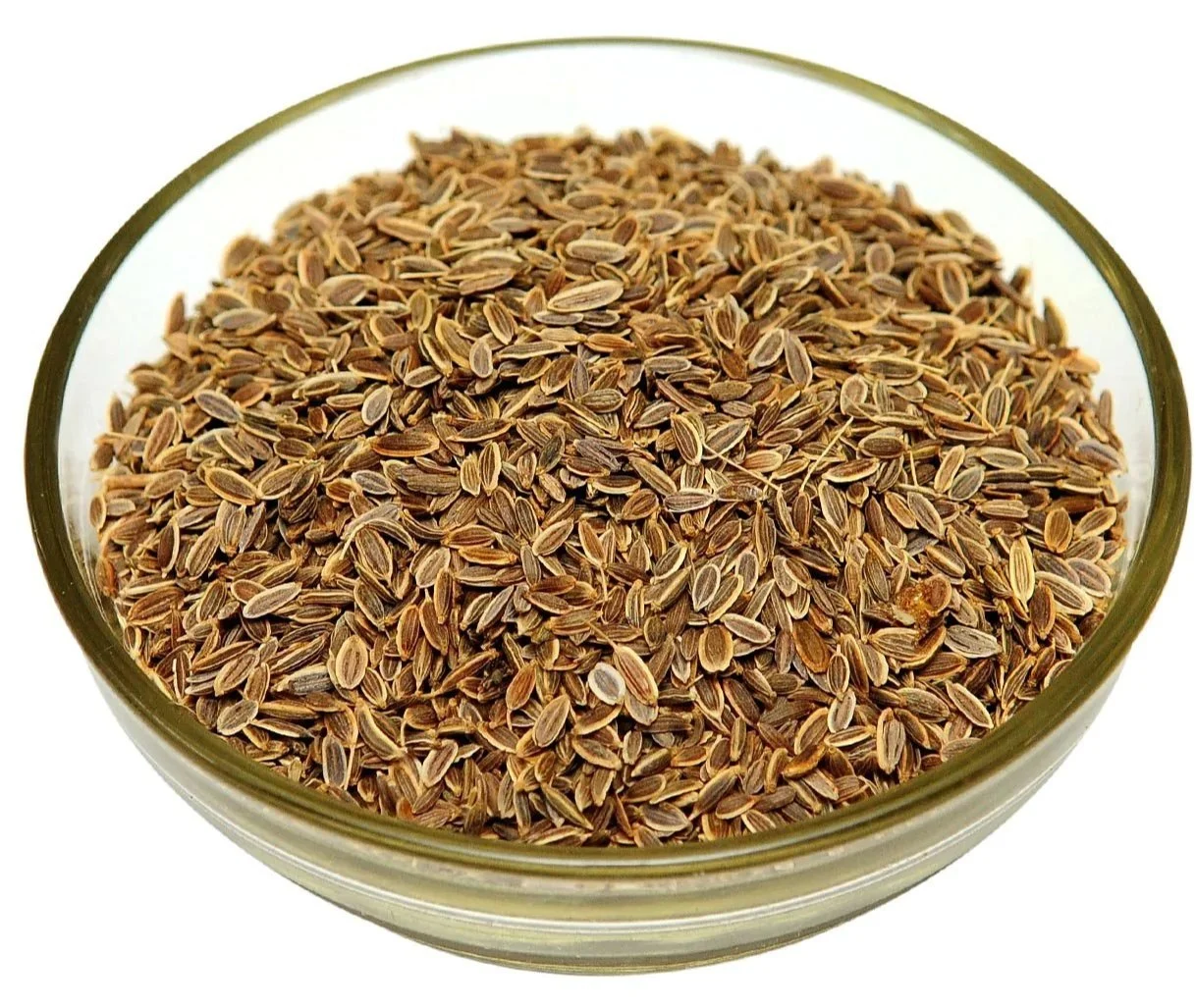 Dill Seeds - Image 3