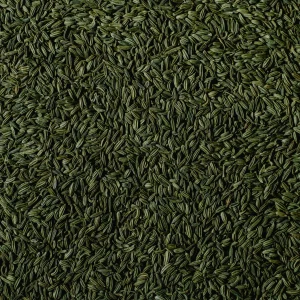 Fennel Seeds