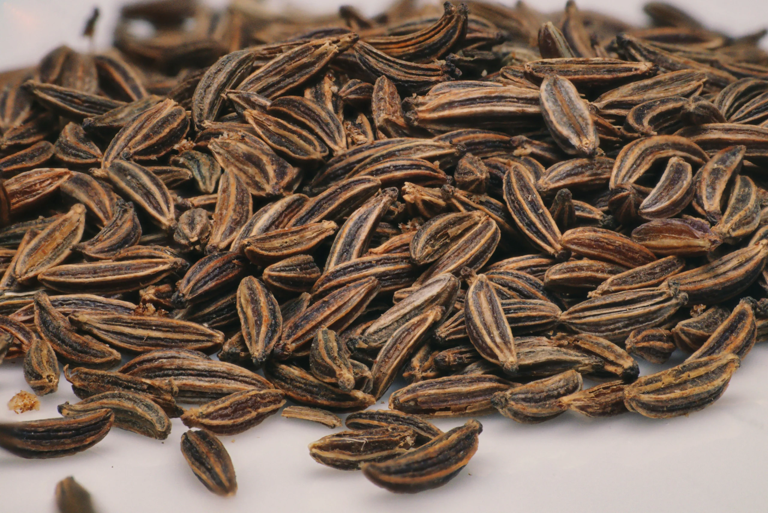 Cumin Seeds (Jeera) - Image 3