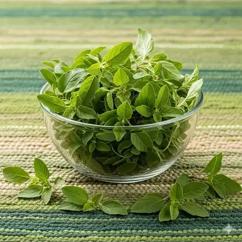 Basil (Tulsi) - Image 2
