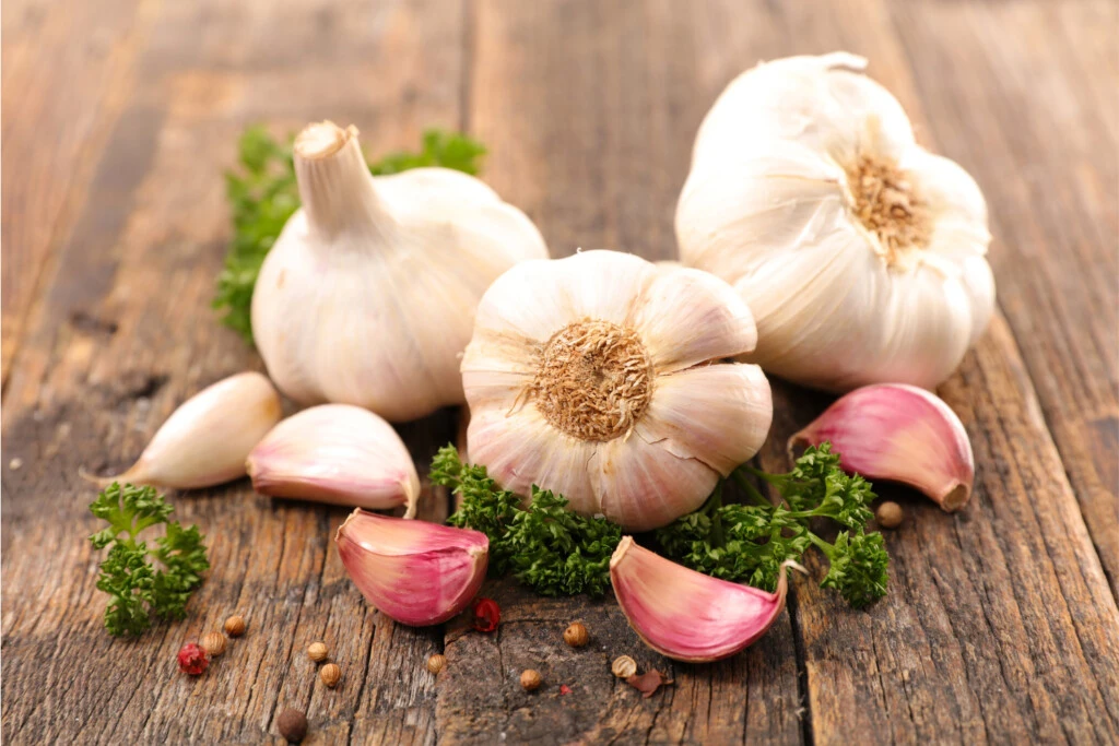 Garlic