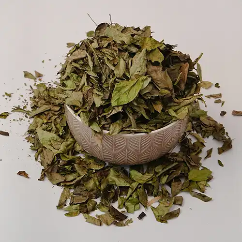 Curry Leaves - Image 2