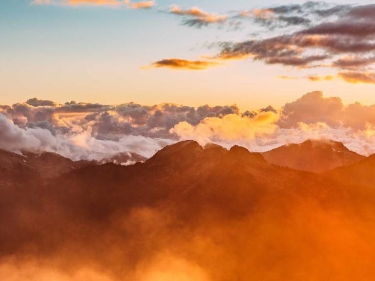 Magnificent Success Examples for Next Year